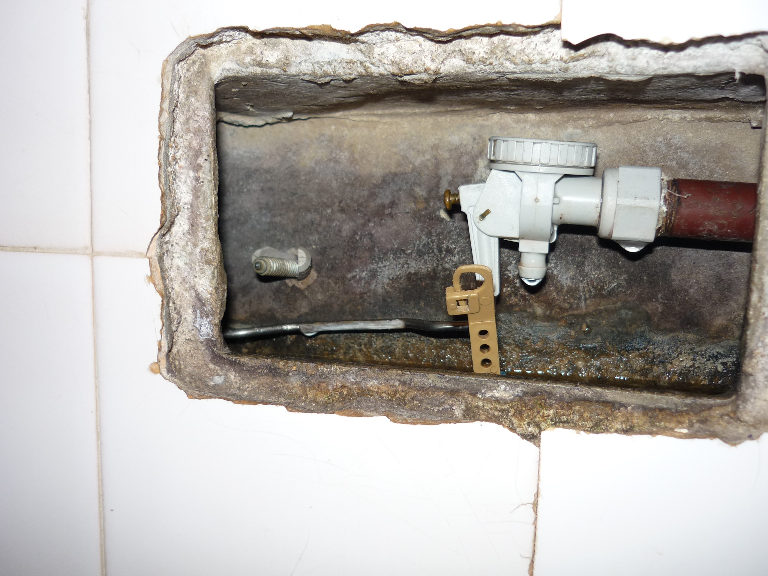 fotos/2011 - Los Reartes/P1010857.JPG